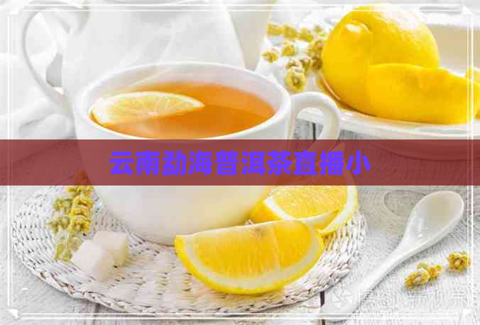 云南勐海普洱茶直播小