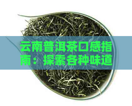 云南普洱茶口感指南：探索各种味道，找到最适合你的那一款