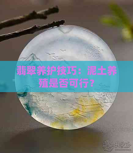 翡翠养护技巧：泥土养殖是否可行？