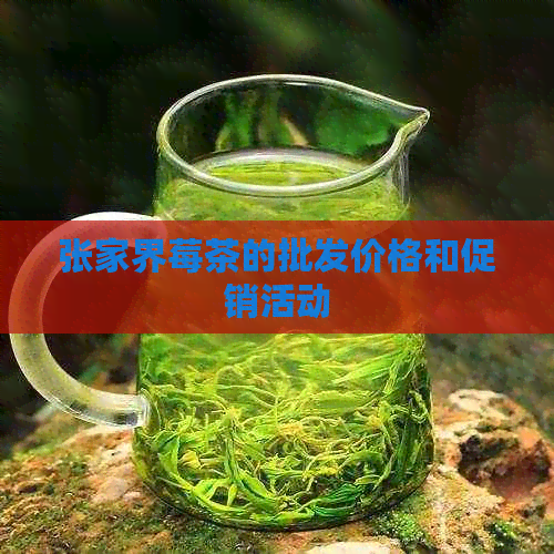 张家界莓茶的批发价格和促销活动