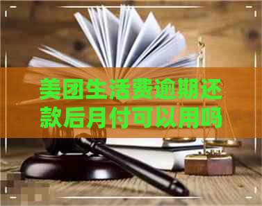 美团生活费逾期还款后月付可以用吗