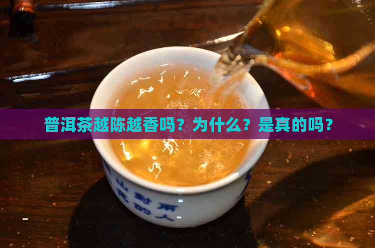 普洱茶越陈越香吗？为什么？是真的吗？