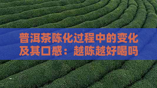 普洱茶陈化过程中的变化及其口感：越陈越好喝吗？