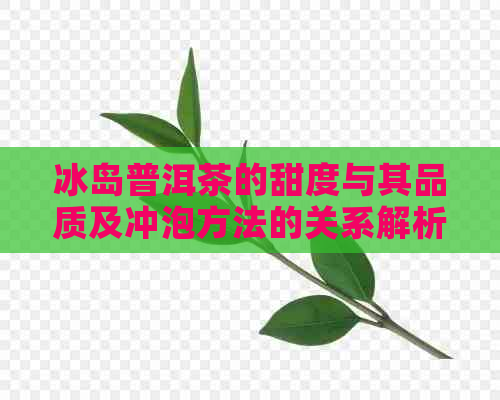 冰岛普洱茶的甜度与其品质及冲泡方法的关系解析：11度甜度的奥秘