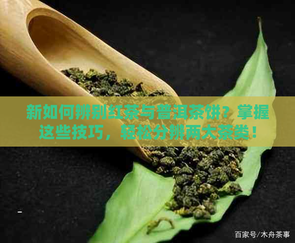 新如何辨别红茶与普洱茶饼？掌握这些技巧，轻松分辨两大茶类！