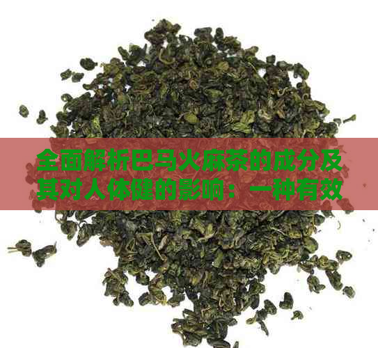 全面解析巴马火麻茶的成分及其对人体健的影响：一种有效的自然疗法