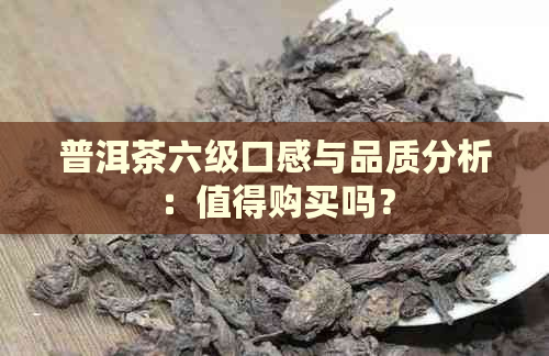 普洱茶六级口感与品质分析：值得购买吗？