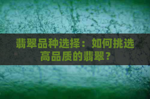 翡翠品种选择：如何挑选高品质的翡翠？