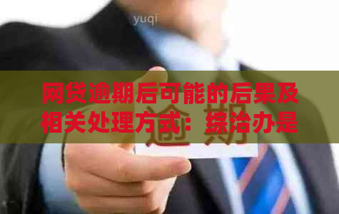 网贷逾期后可能的后果及相关处理方式：综治办是否会介入？