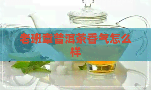 老班章普洱茶香气怎么样