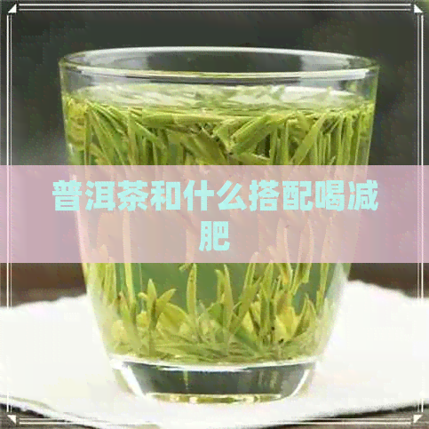 普洱茶和什么搭配喝减肥