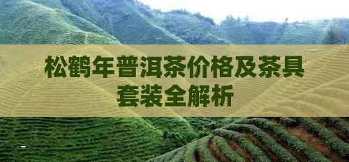 松鹤年普洱茶价格及茶具套装全解析