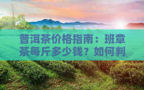 普洱茶价格指南：班章茶每斤多少钱？如何判断普洱茶价格？