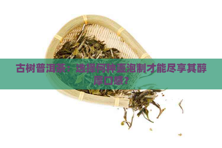 古树普洱茶：选择何种壶泡制才能尽享其醇厚口感？