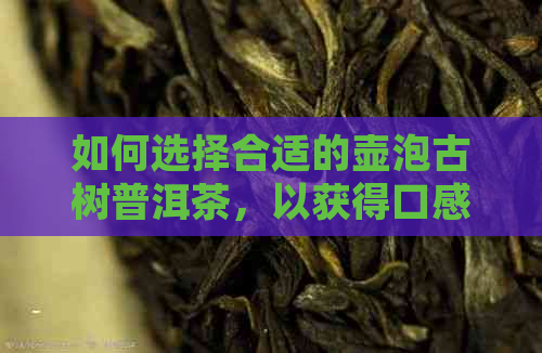 如何选择合适的壶泡古树普洱茶，以获得口感？