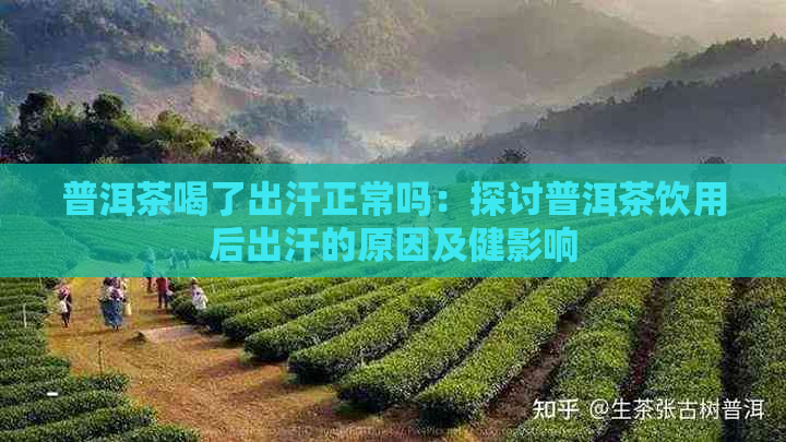 普洱茶喝了出汗正常吗：探讨普洱茶饮用后出汗的原因及健影响