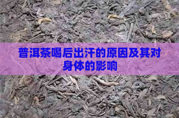 普洱茶喝后出汗的原因及其对身体的影响