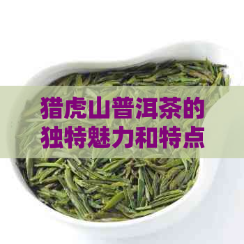 猎虎山普洱茶的独特魅力和特点：品鉴、产地、制作工艺全方位解析