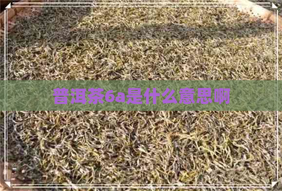 普洱茶6a是什么意思啊