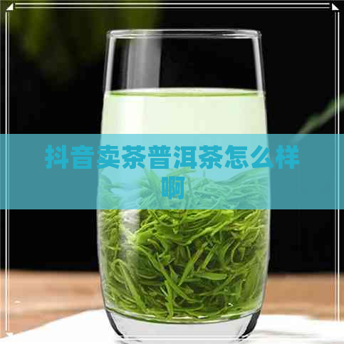 抖音卖茶普洱茶怎么样啊