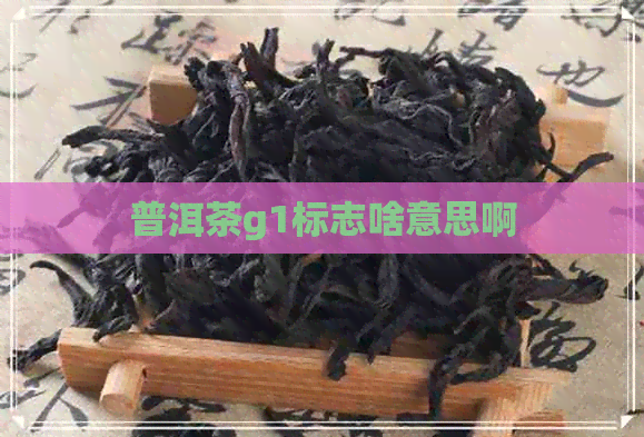 普洱茶g1标志啥意思啊