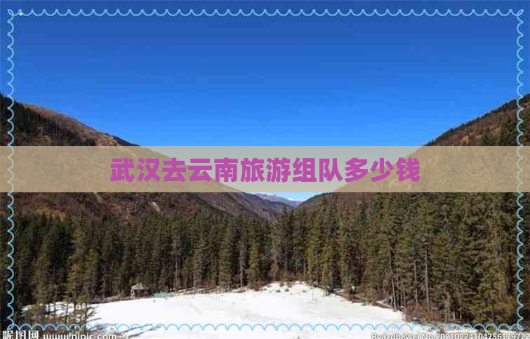 武汉去云南旅游组队多少钱