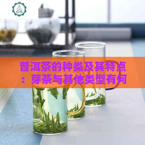 普洱茶的种类及其特点：芽茶与其他类型有何区别？