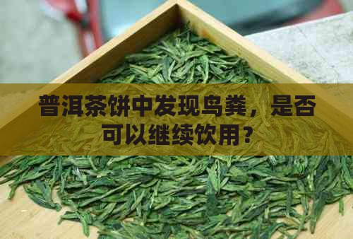 普洱茶饼中发现鸟粪，是否可以继续饮用？