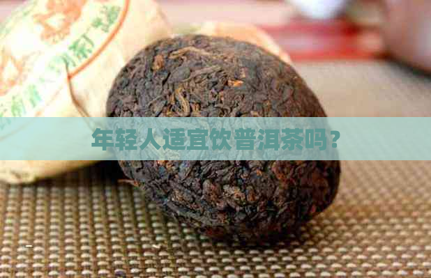 年轻人适宜饮普洱茶吗？