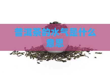 普洱茶的水气是什么意思