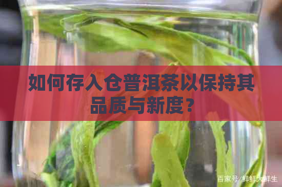 如何存入仓普洱茶以保持其品质与新度？