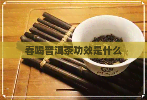 春喝普洱茶功效是什么