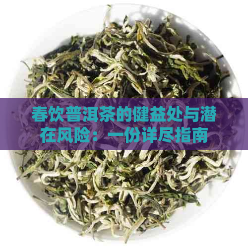 春饮普洱茶的健益处与潜在风险：一份详尽指南