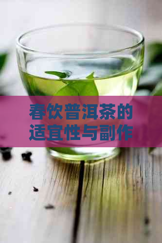 春饮普洱茶的适宜性与副作用：如何避免上火问题？