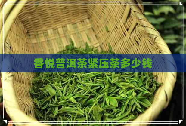 香悦普洱茶紧压茶多少钱