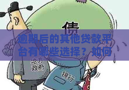 逾期后的其他贷款平台有哪些选择？如何继续获得贷款？