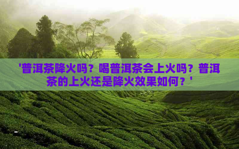 '普洱茶降火吗？喝普洱茶会上火吗？普洱茶的上火还是降火效果如何？'