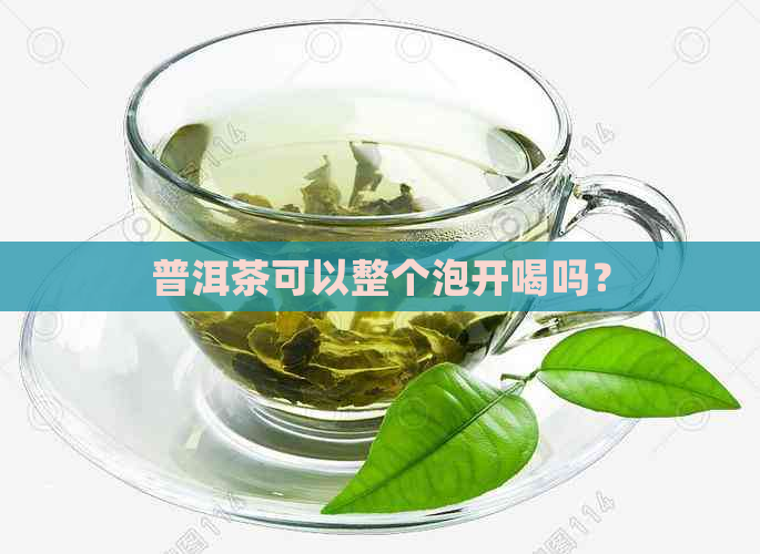 普洱茶可以整个泡开喝吗？