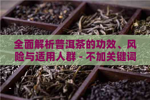 全面解析普洱茶的功效、风险与适用人群 - 不加关键词