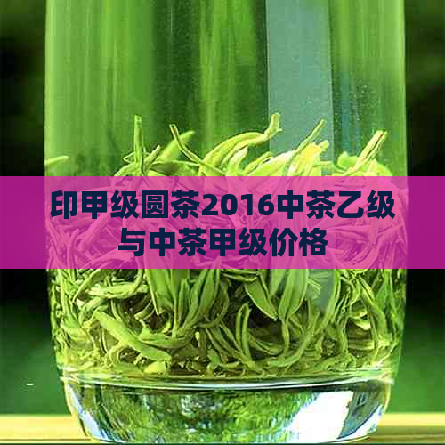 印甲级圆茶2016中茶乙级与中茶甲级价格