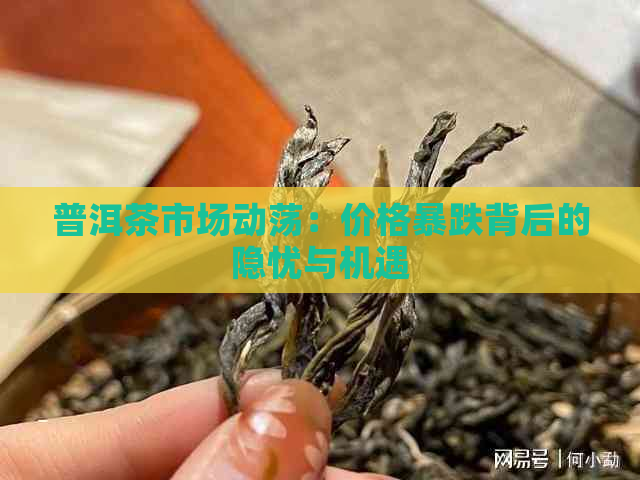 普洱茶市场动荡：价格暴跌背后的隐忧与机遇