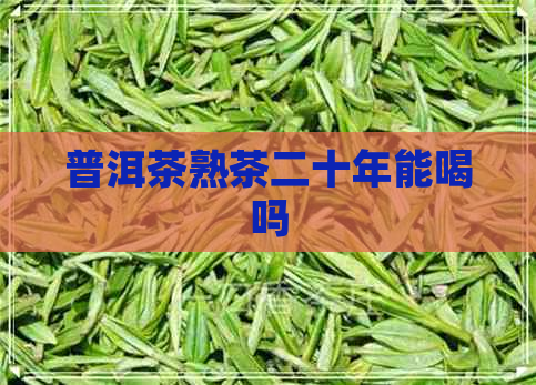 普洱茶熟茶二十年能喝吗