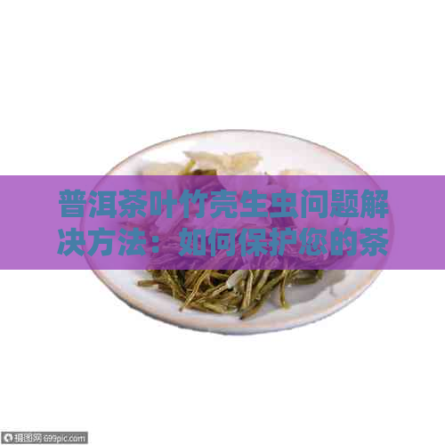 普洱茶叶竹壳生虫问题解决方法：如何保护您的茶叶存