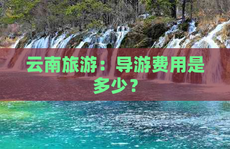 云南旅游：导游费用是多少？