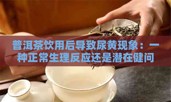 普洱茶饮用后导致尿黄现象：一种正常生理反应还是潜在健问题？