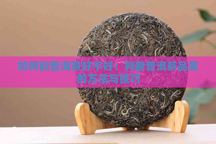 如何别普洱茶好不好：判断普洱茶品质的方法与技巧