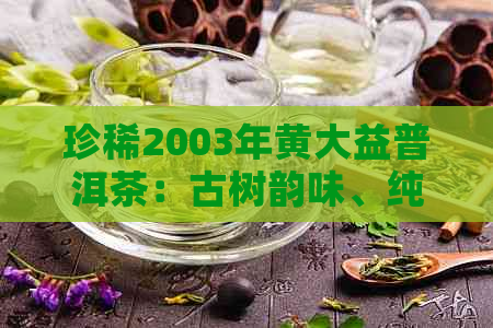 珍稀2003年黄大益普洱茶：古树韵味、纯正品质与深厚文化底蕴的完美融合