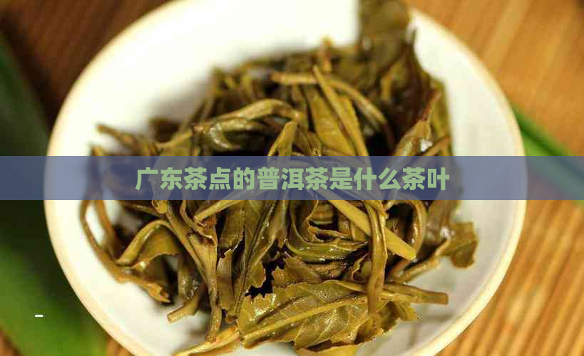 广东茶点的普洱茶是什么茶叶