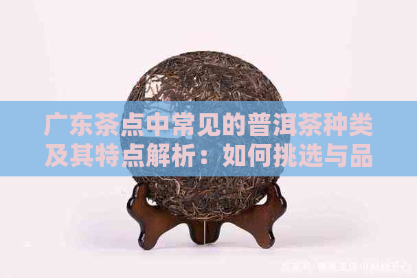 广东茶点中常见的普洱茶种类及其特点解析：如何挑选与品鉴普洱茶？