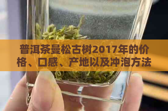 普洱茶曼松古树2017年的价格、口感、产地以及冲泡方法全面解析